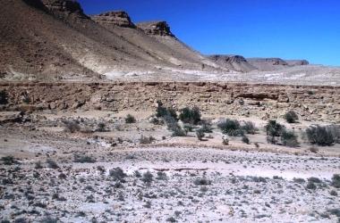Tunisko - Tataouine