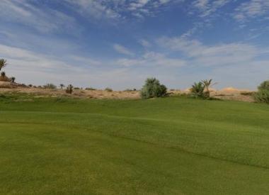 Tozeur - golfové hřiště Golf des Oasis