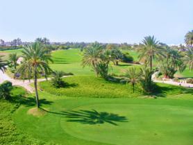 Část golfového hřiště Djerba Golf Club