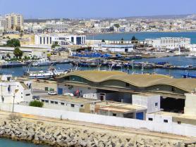 Město Tunis s přístavem La Goulette