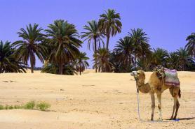 Poušť Sahara v jižní části Tuniska